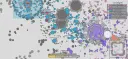 Arras.io